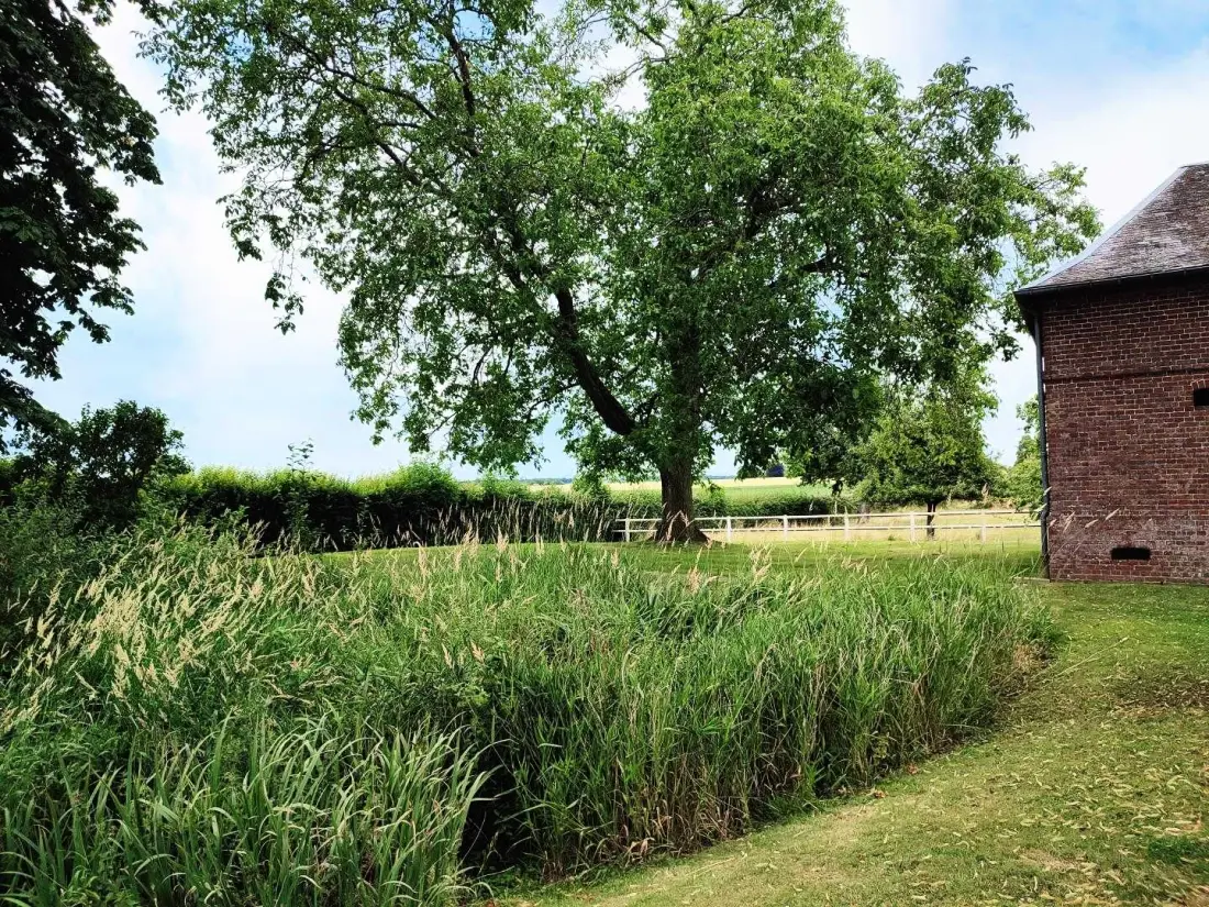 Gîte de France Gîtes de france® - gesztenye fák 3 fül