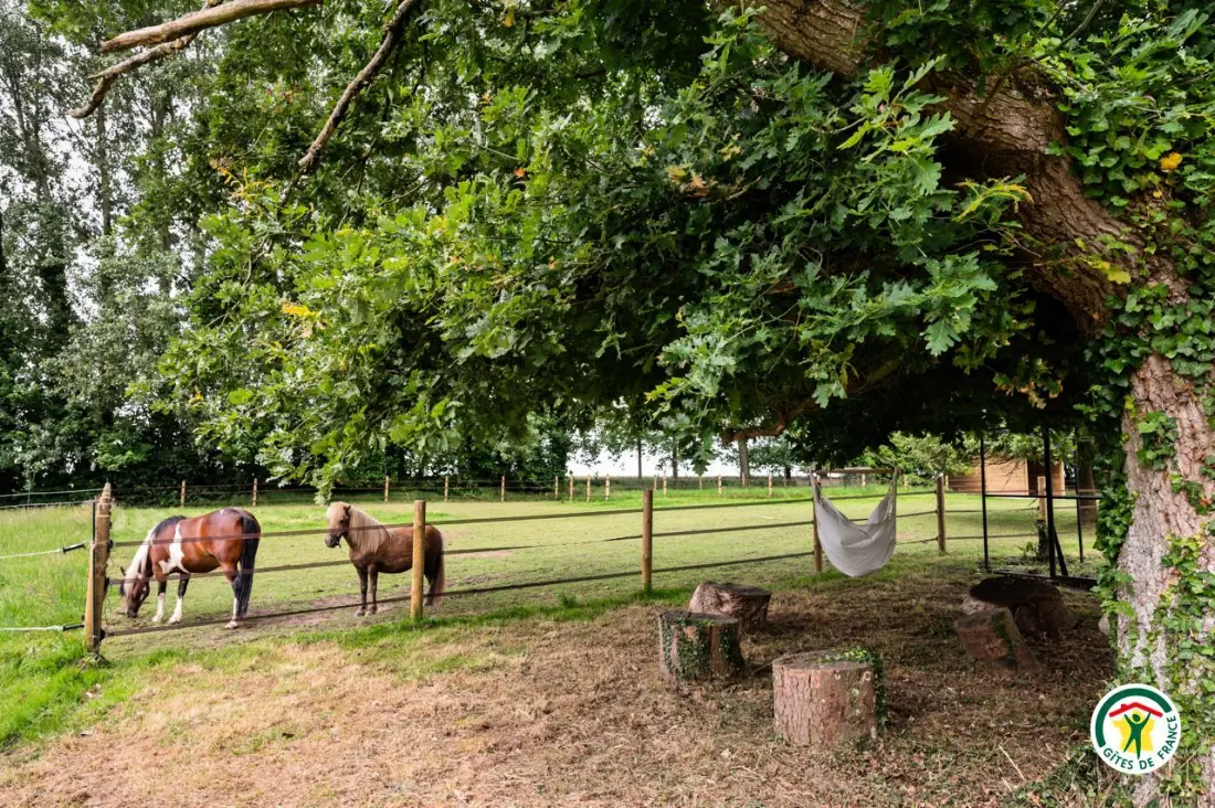 Gîte de France Gîtes de france® - almás fák alatt 4 fül
