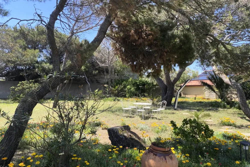 Villa Secret Du Jardin tegenover de zee