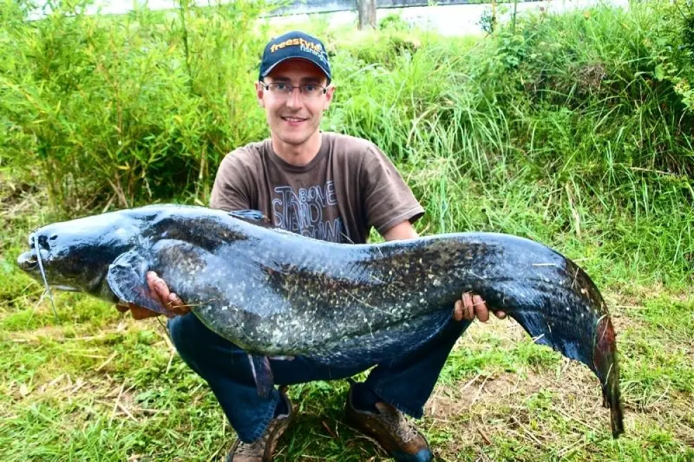 Campsite Les Catalpas 3 Stars★★★