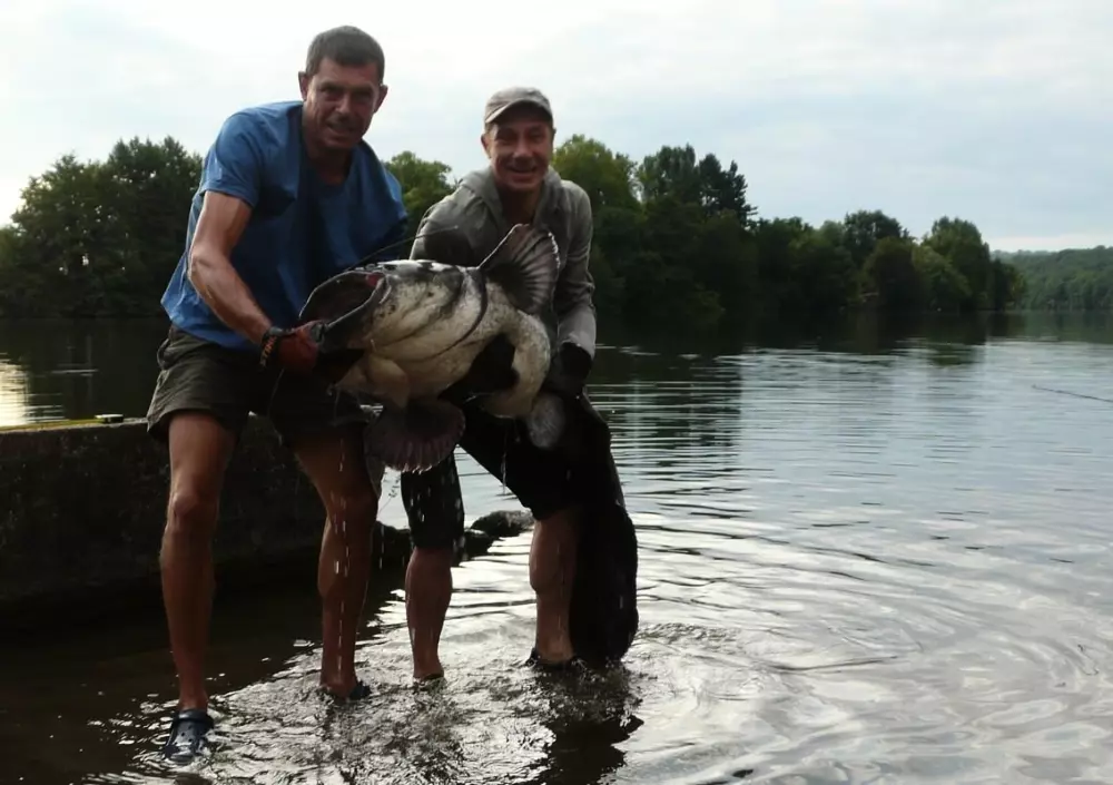 Campsite Les Catalpas 3 Stars★★★