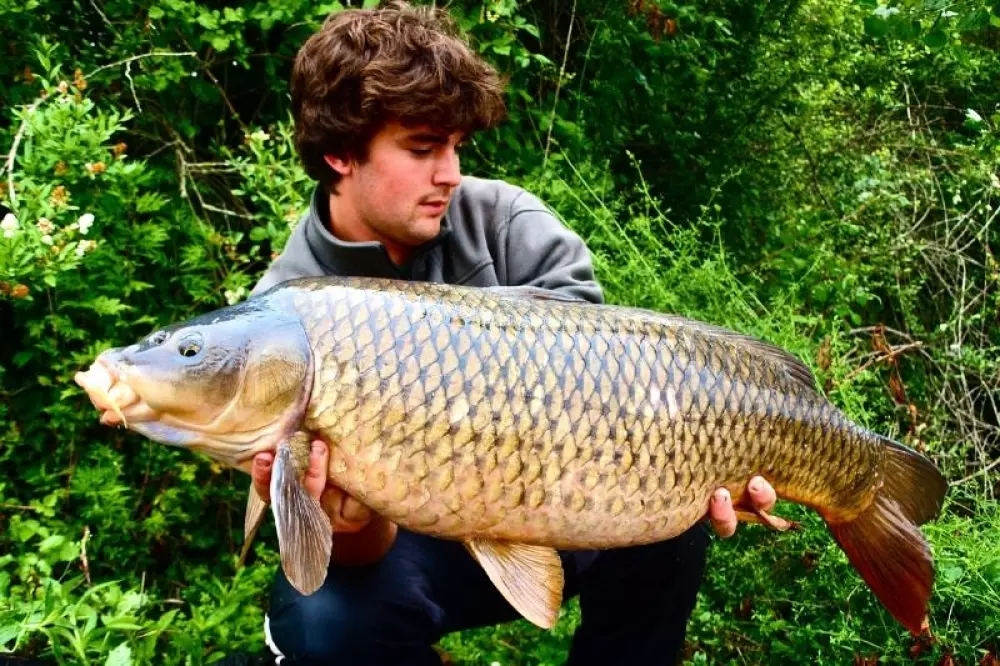 Campsite Les Catalpas 3 Stars★★★