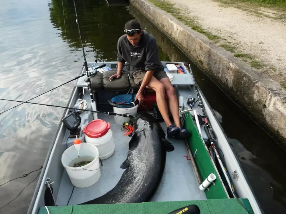 Campsite Les Catalpas 3 Stars★★★