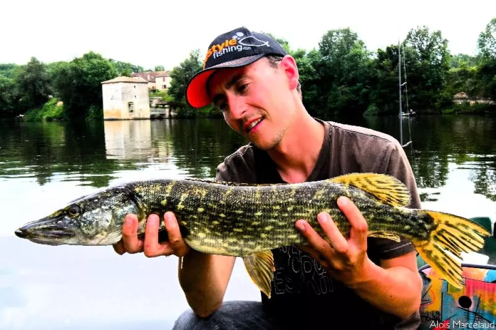 Campsite Les Catalpas 3 Stars★★★