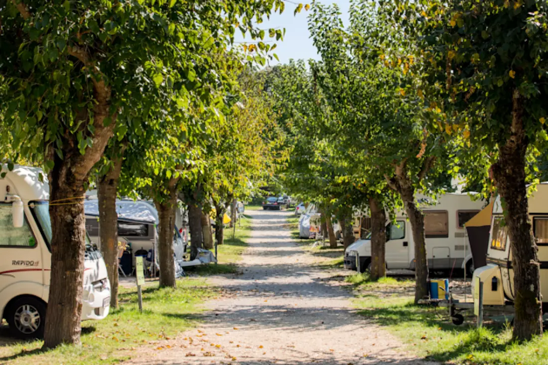 Campingplads Zelena Laguna4 Stjerner★★★★