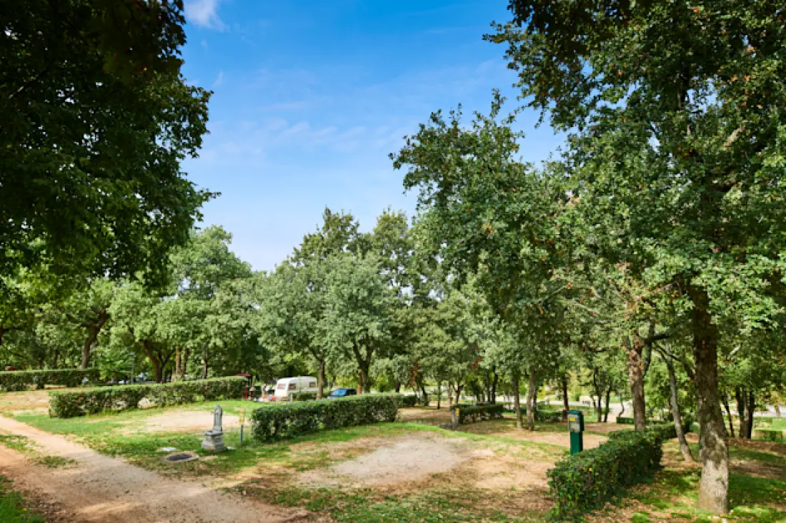 Campingplads Zelena Laguna4 Stjerner★★★★