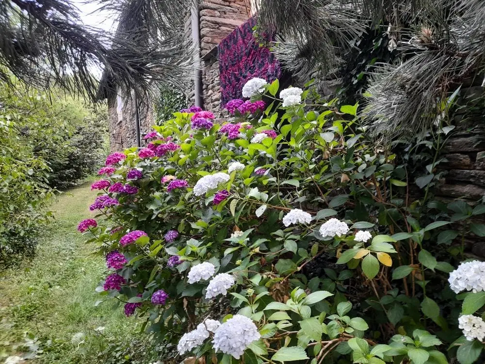 Gîte de France Gîte boussasse 3 Ohren