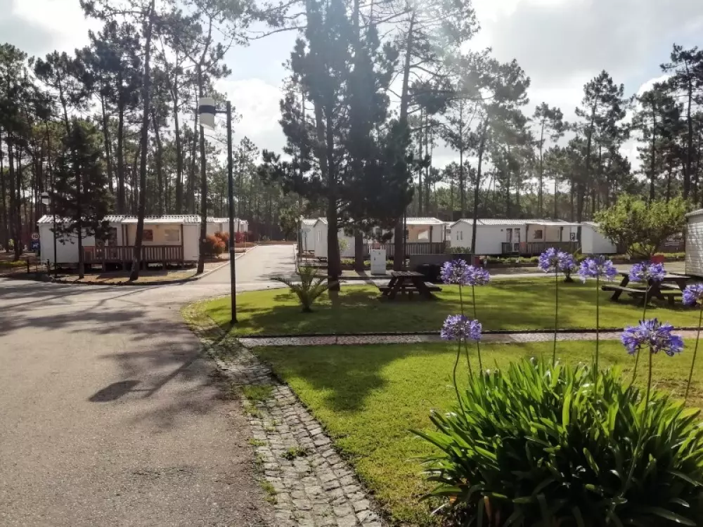 Campingplatz Orbitur Vagueira3 Sterne★★★