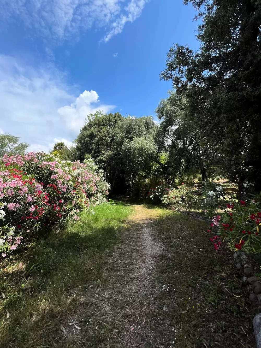 Camping Casa Di Luna 6 Csillagok★★★★★★