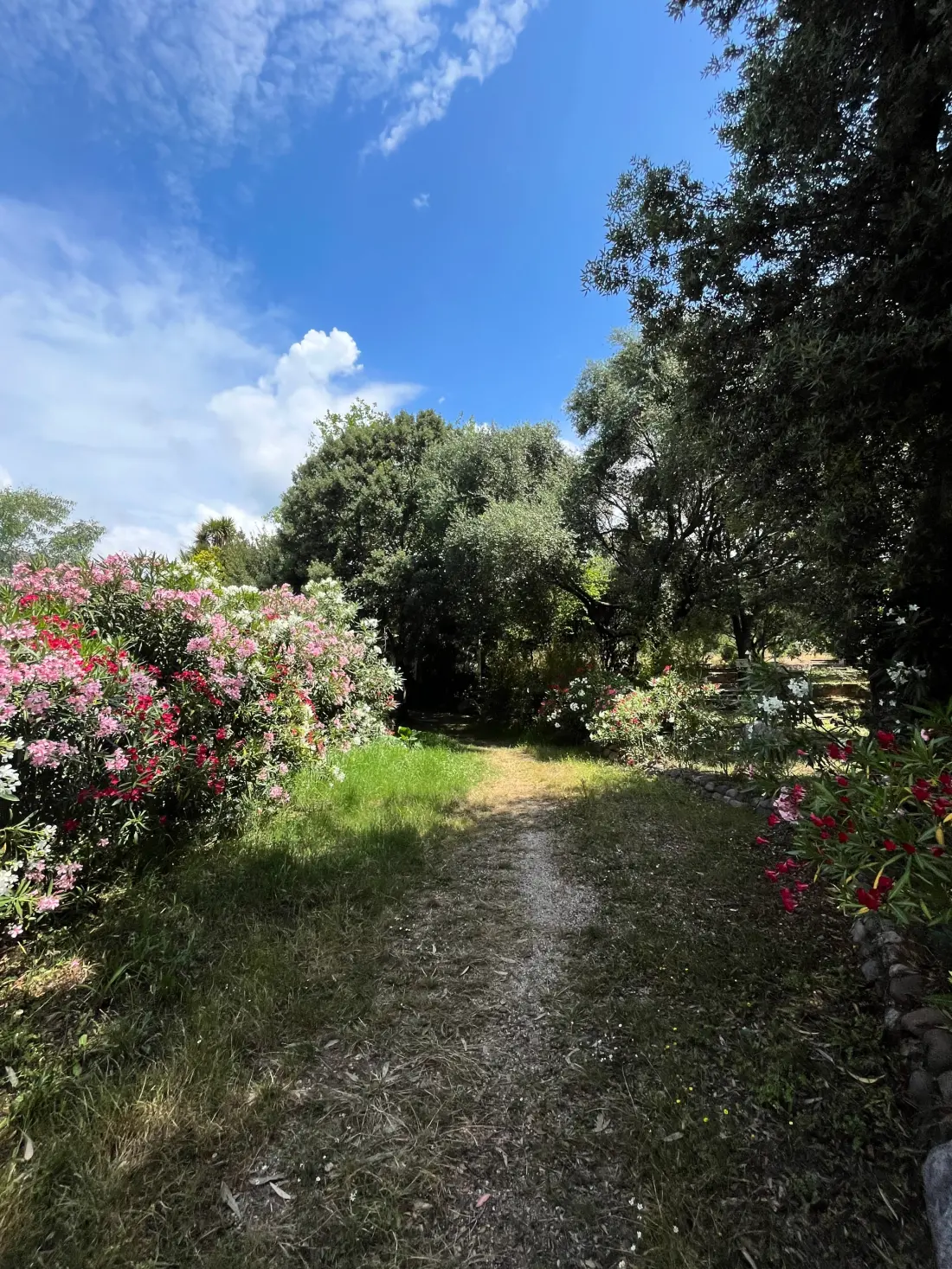 Camping Casa Di Luna 2 Stelle★★