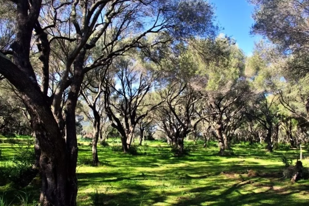 Camping Casa Di Luna 6 Csillagok★★★★★★