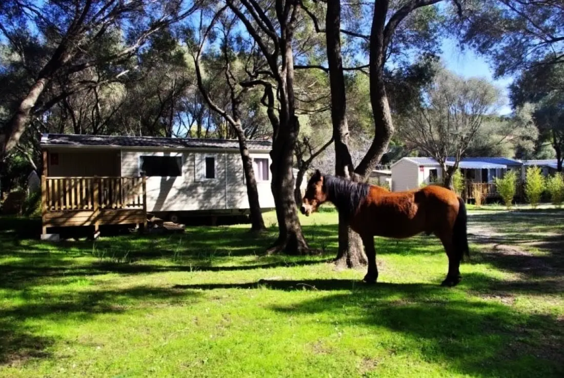 Camping Casa Di Luna 2 Stelle★★