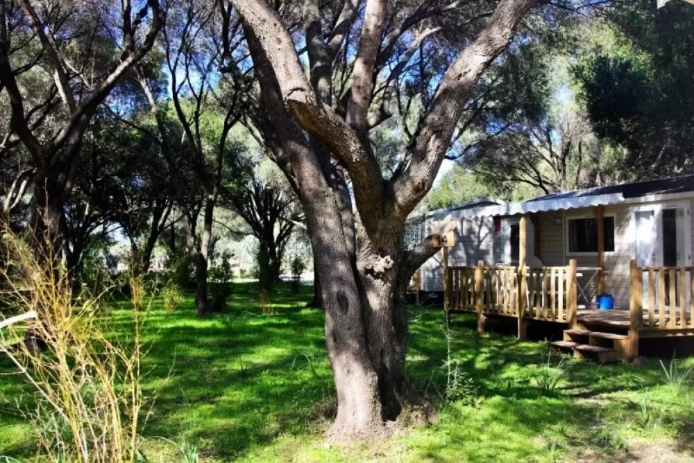 Camping Casa Di Luna 6 Csillagok★★★★★★