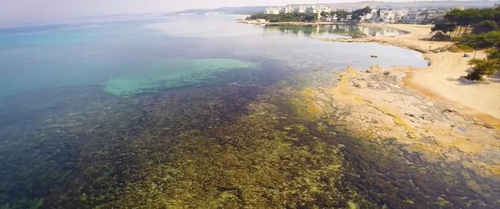 Camping La Vecchia Torre3 Sterren★★★