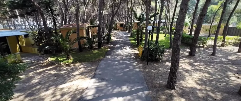 Camping La Vecchia Torre3 Sterren★★★