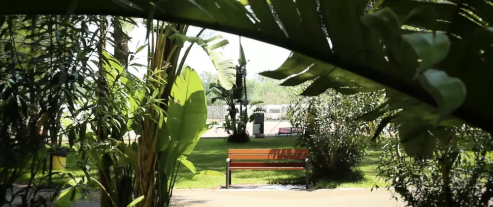 Camping La Vecchia Torre3 Sterren★★★