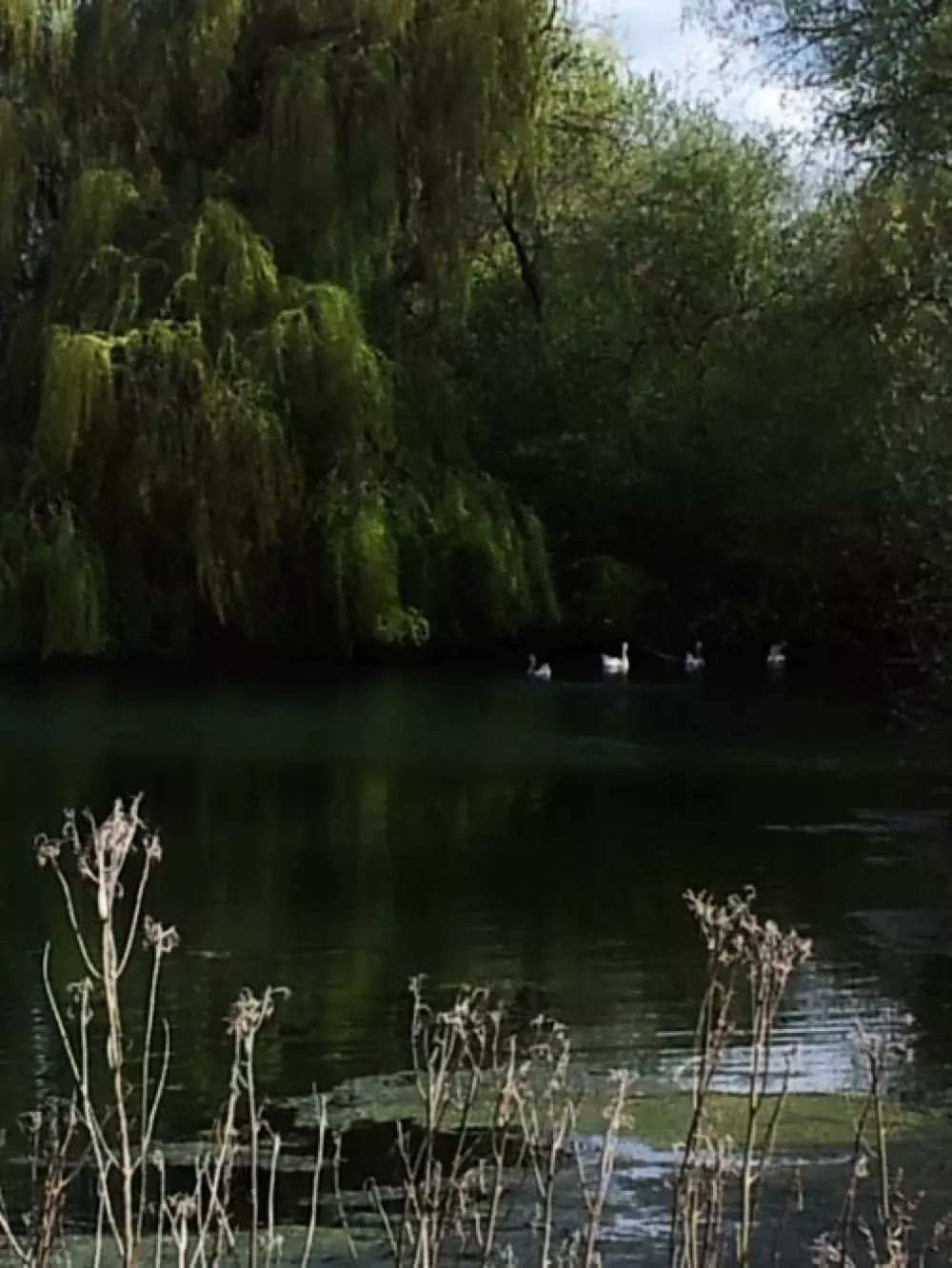 Camping Saisonova Les Marguerites 3 Sterne★★★