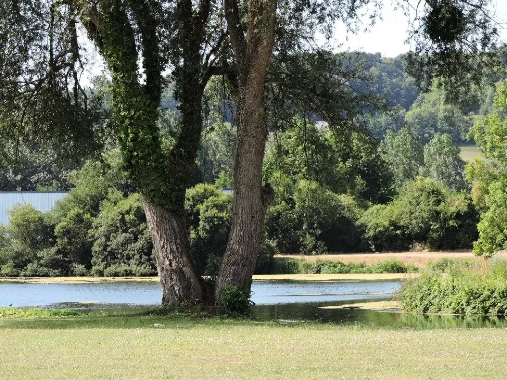 Camping Saisonova Les Marguerites 3 Sterne★★★