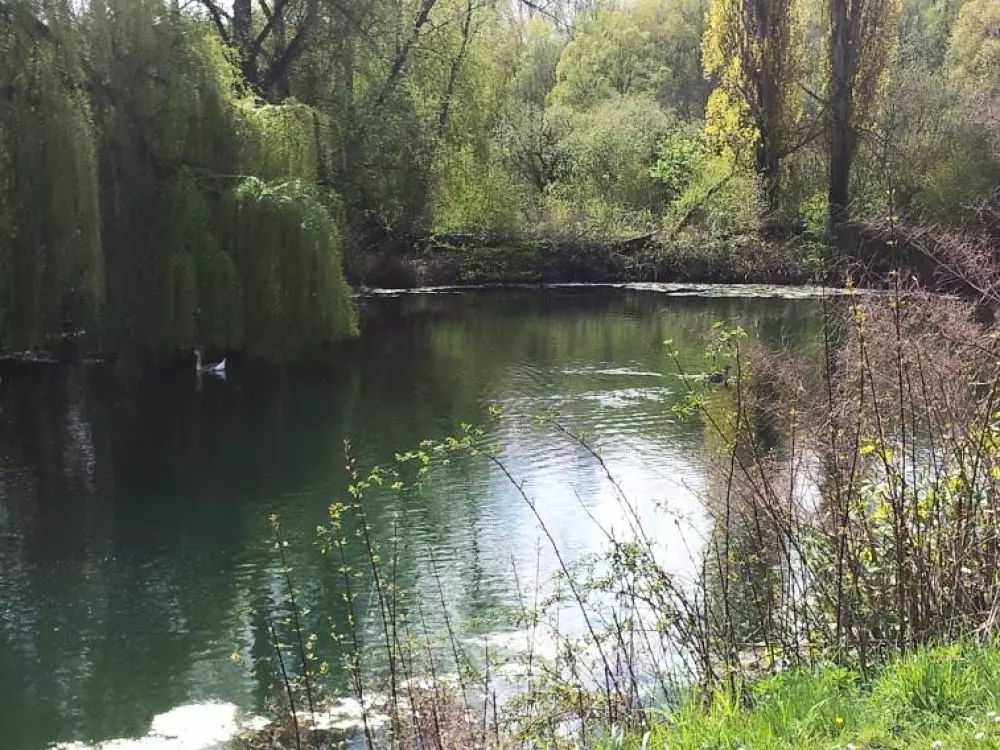 Camping Saisonova Les Marguerites 3 Sterne★★★