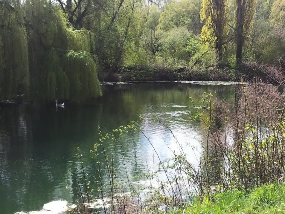 Camping Sezonova Les Marguerites /