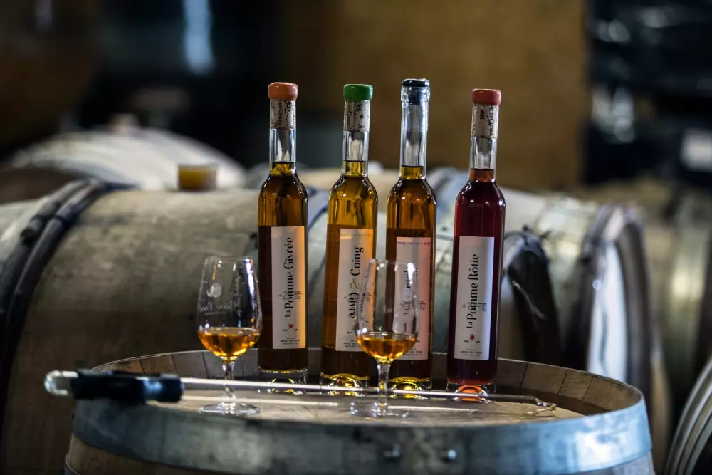 Camping Alpes Dauphiné 4 étoiles★★★★