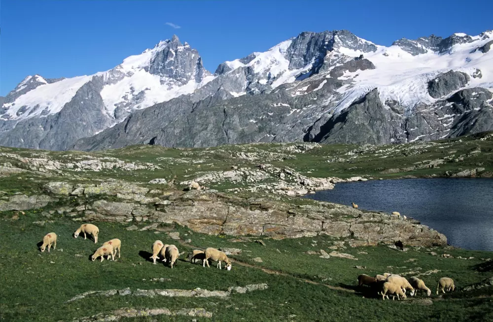 Camping Alpes Dauphiné 4 étoiles★★★★