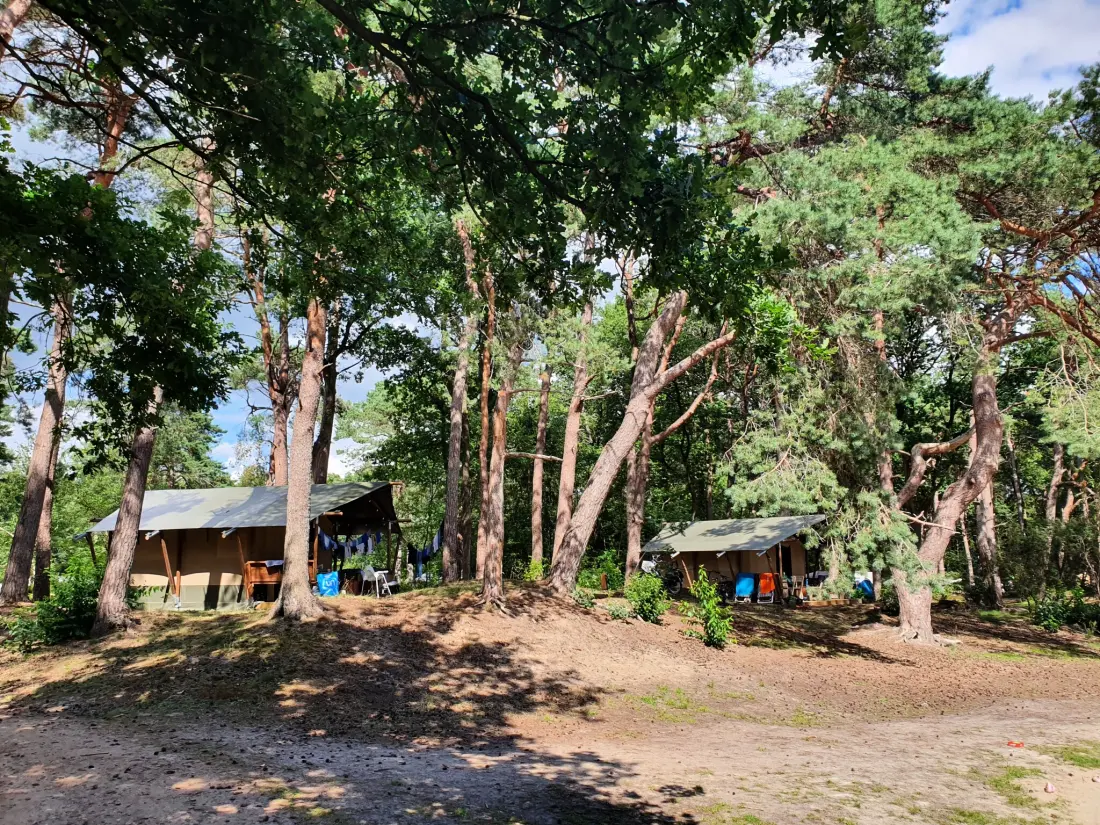 Campingplatz het Horstmannsbos