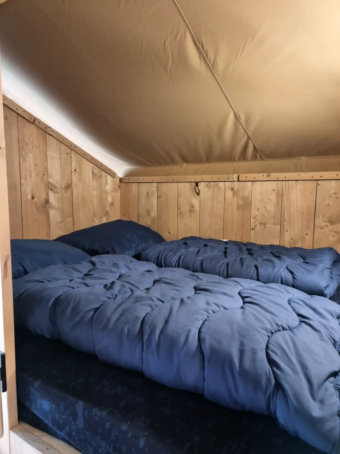 Campingplatz het Horstmannsbos