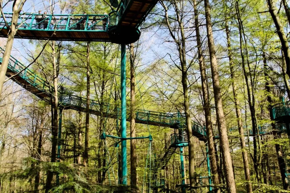 Campsite het Horstmannsbos