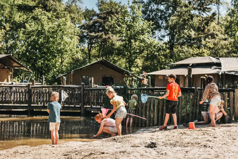 Campsite het Horstmannsbos