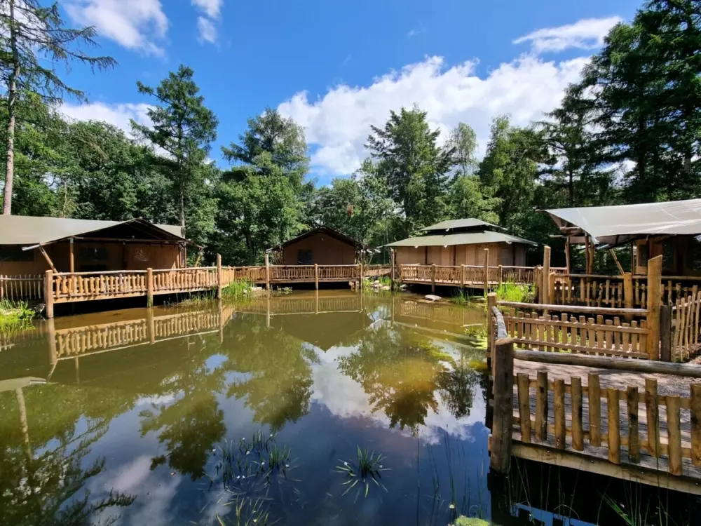 Campsite het Horstmannsbos