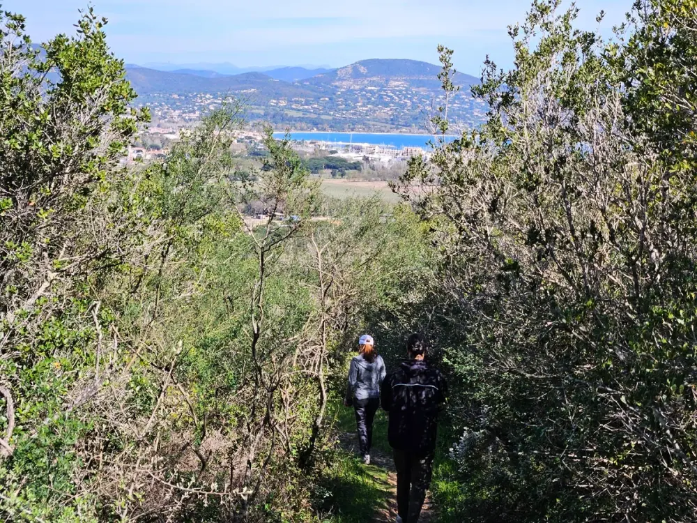 Camping Montana Parc - Gassin Golfe de St Tropez 4 Stelle★★★★