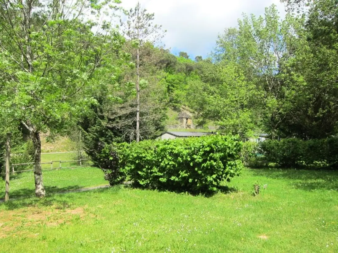 El molino de David