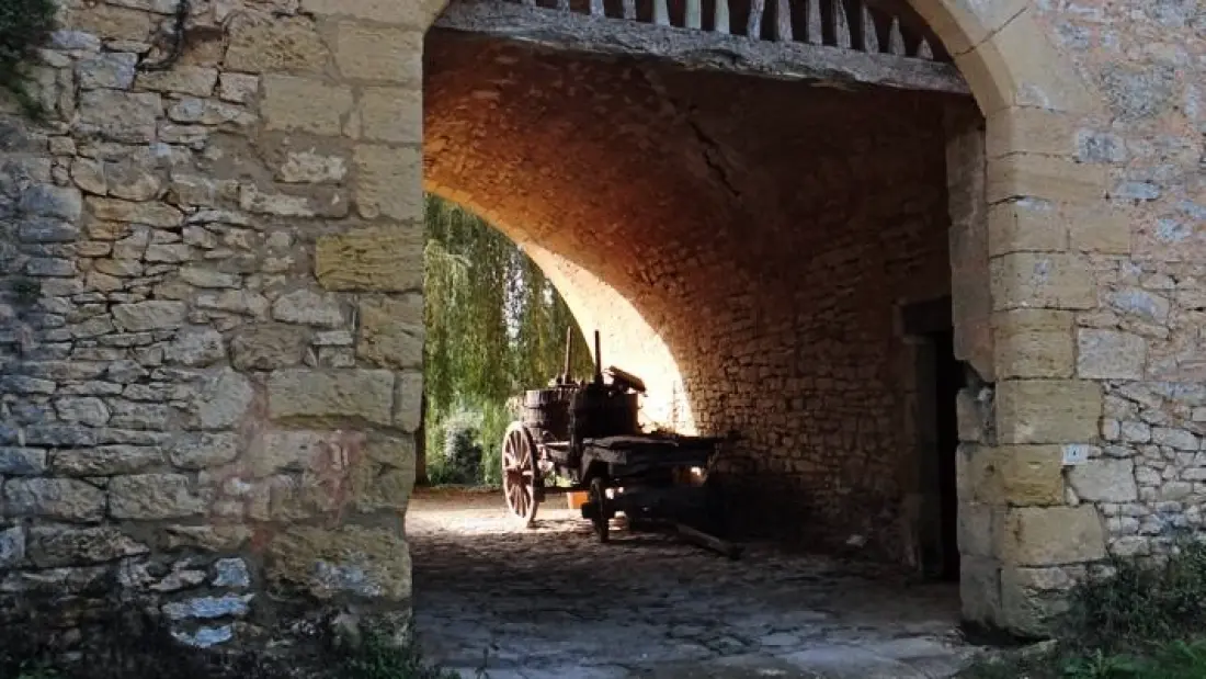 El molino de David