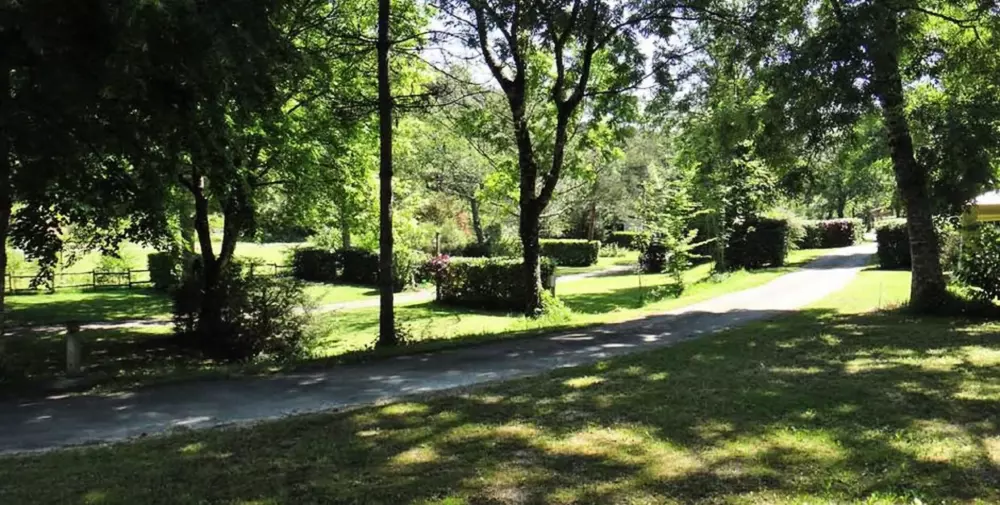 Die Mühle von David 3 Sterne★★★