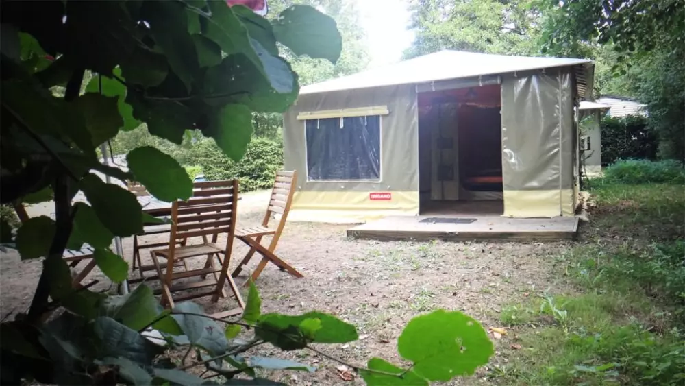 Die Mühle von David 3 Sterne★★★