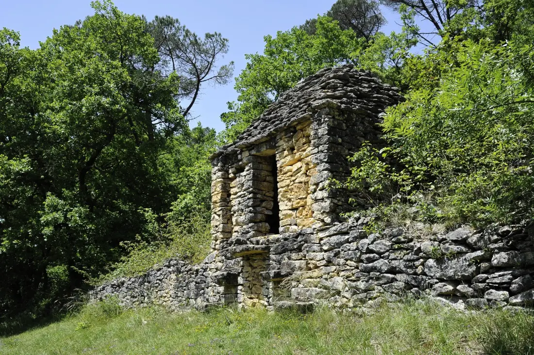 El molino de David