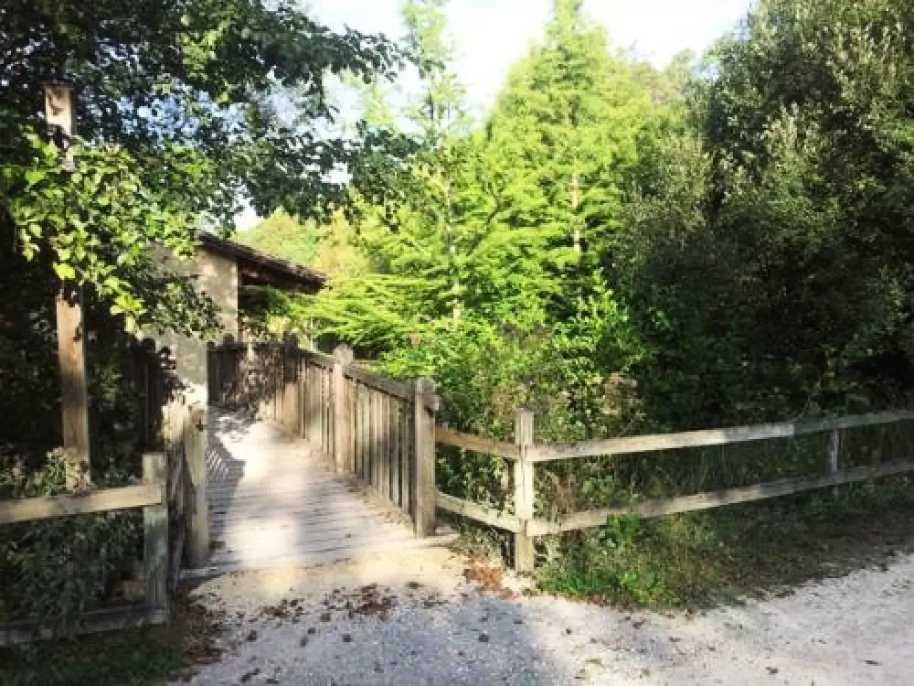 Die Mühle von David 3 Sterne★★★