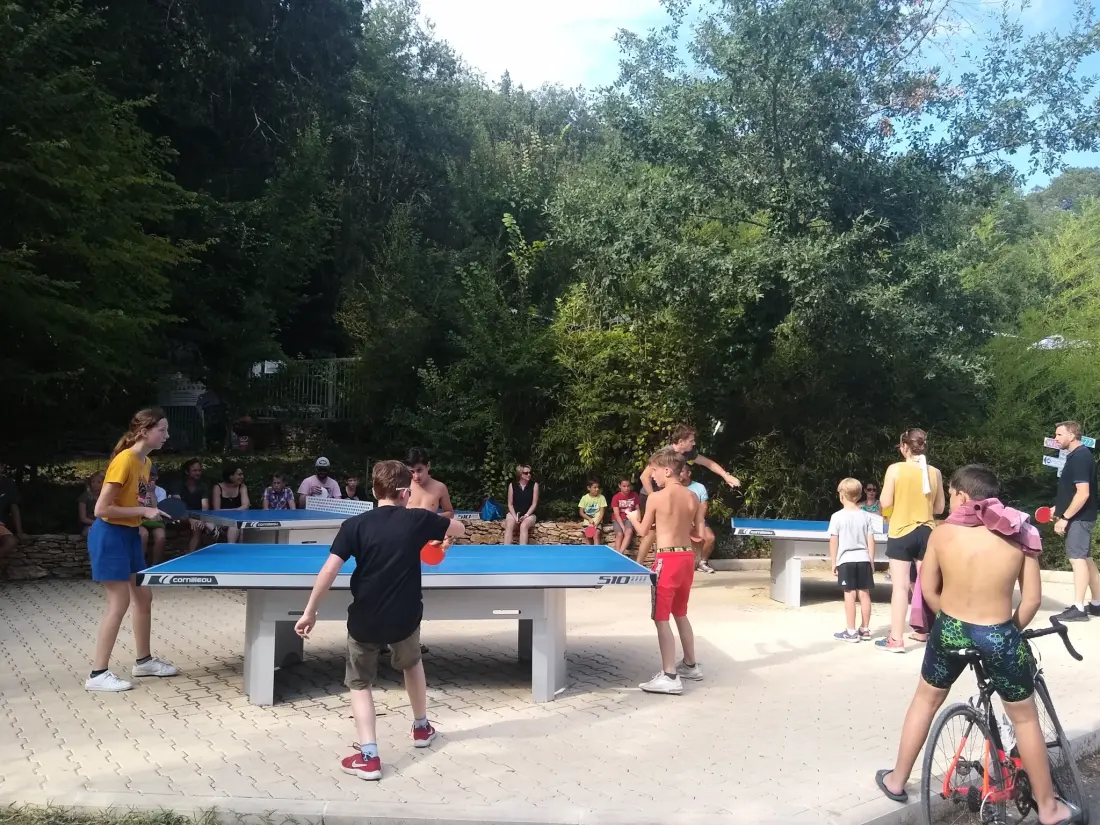 El molino de David