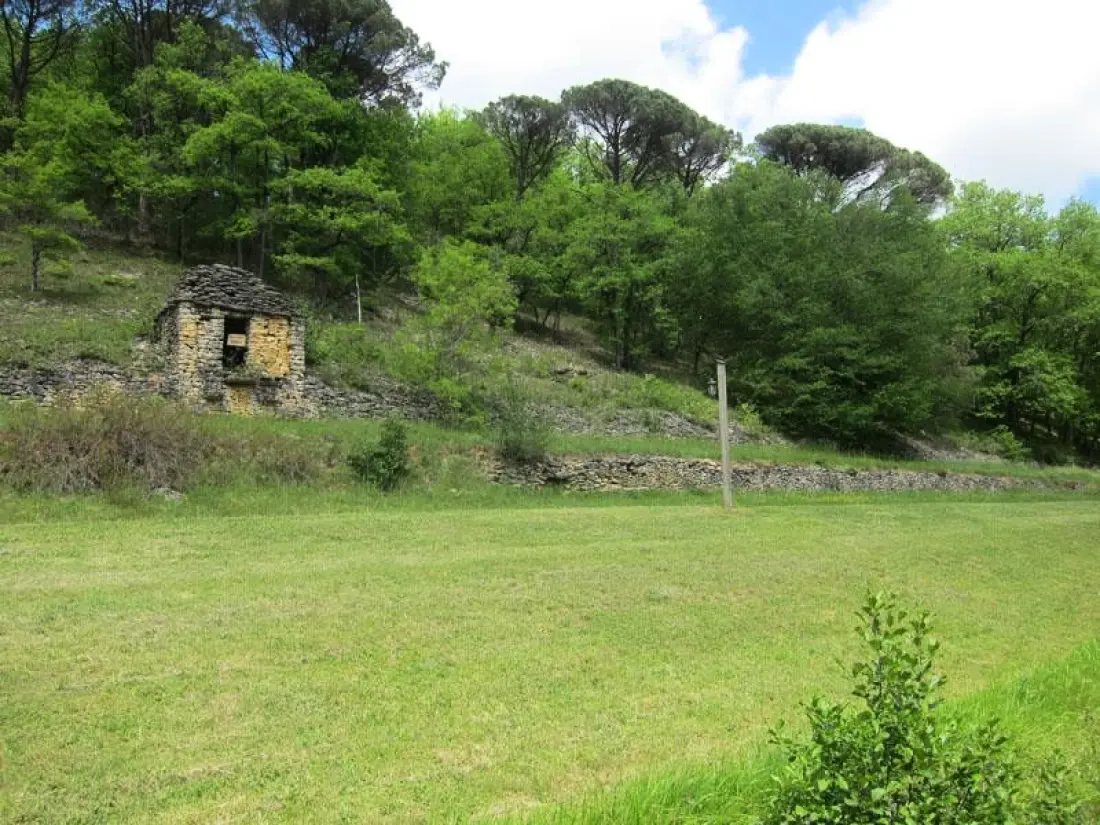 El molino de David