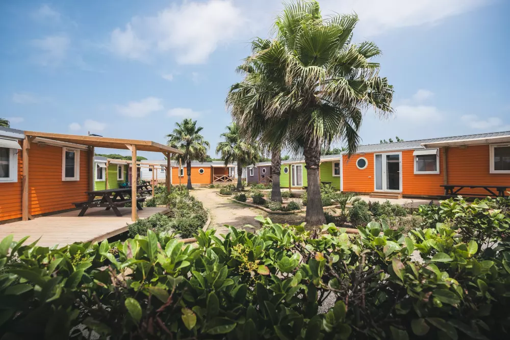 HolaCamp Barcelona by Viajes Velero 