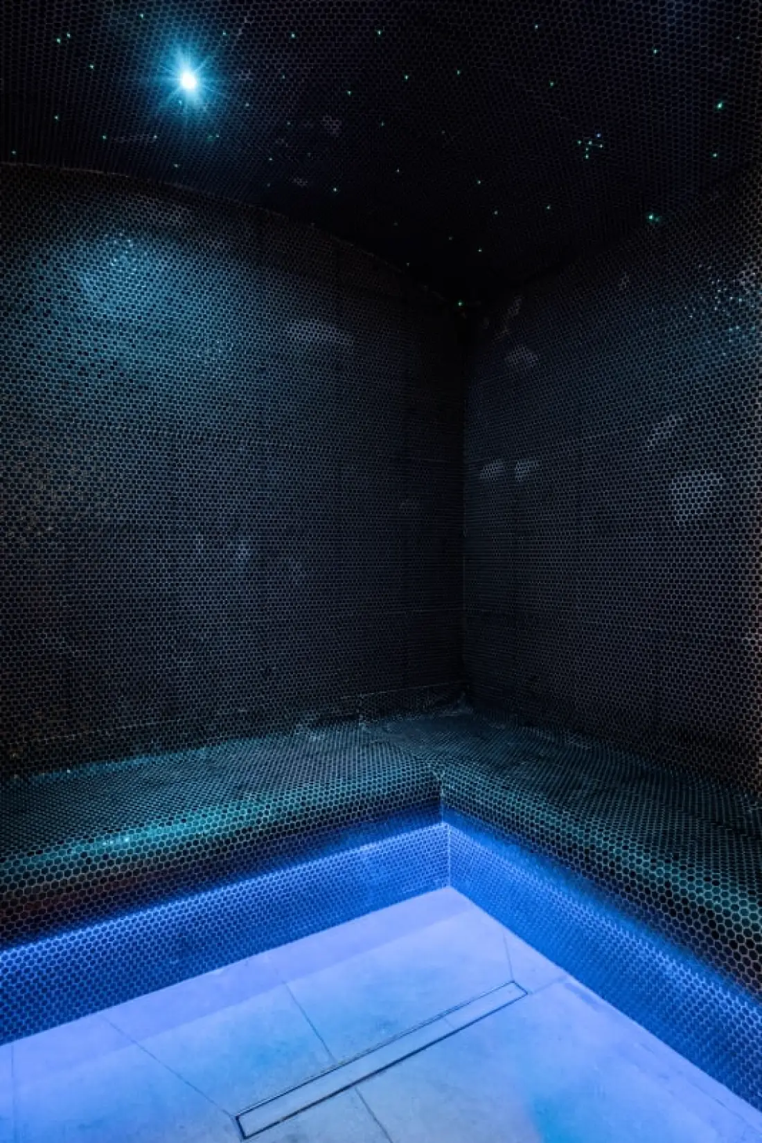 Chalet Les Ecureuils - 12 pers - Spa - úszómedence - Hammam - szauna