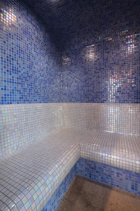 Chalet Phoenix - 14 Pers. Spa - Hammam