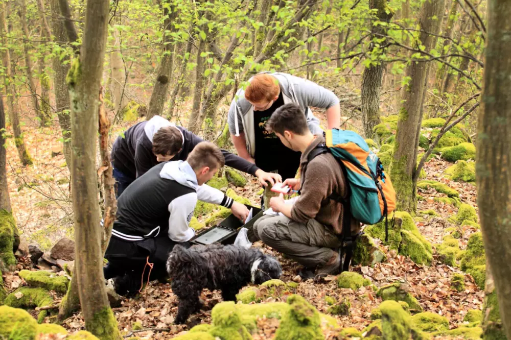 Campingplatz Donnersberg