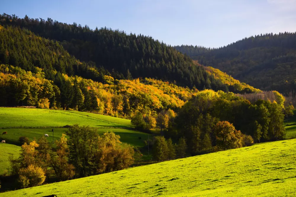 Campingplatz Donnersberg