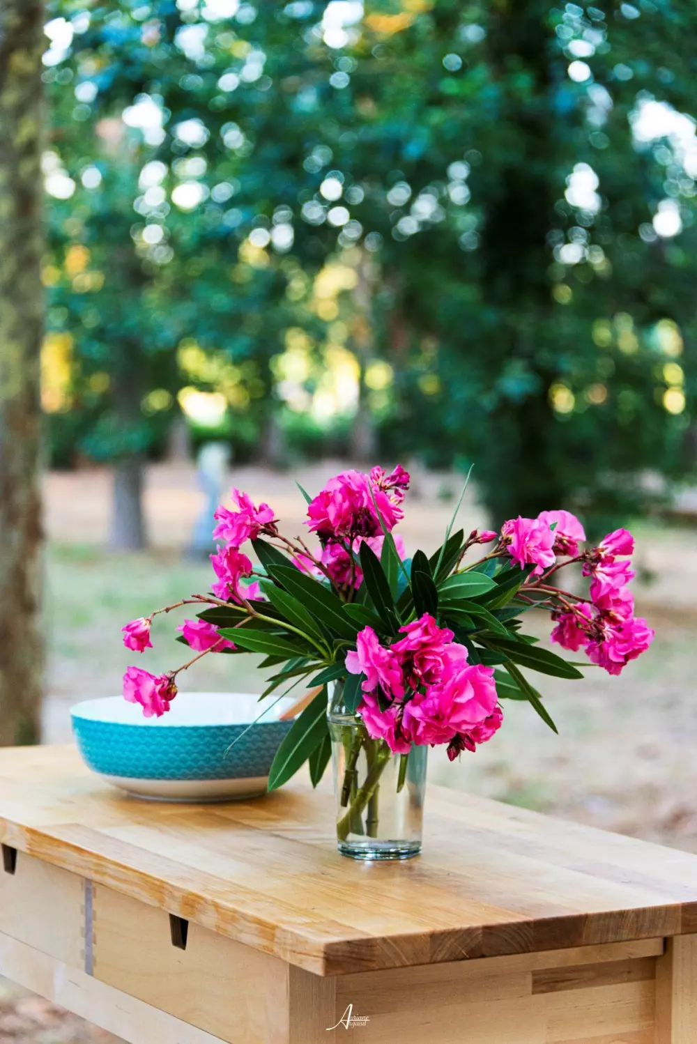 Camping U Casone3 Csillagok★★★