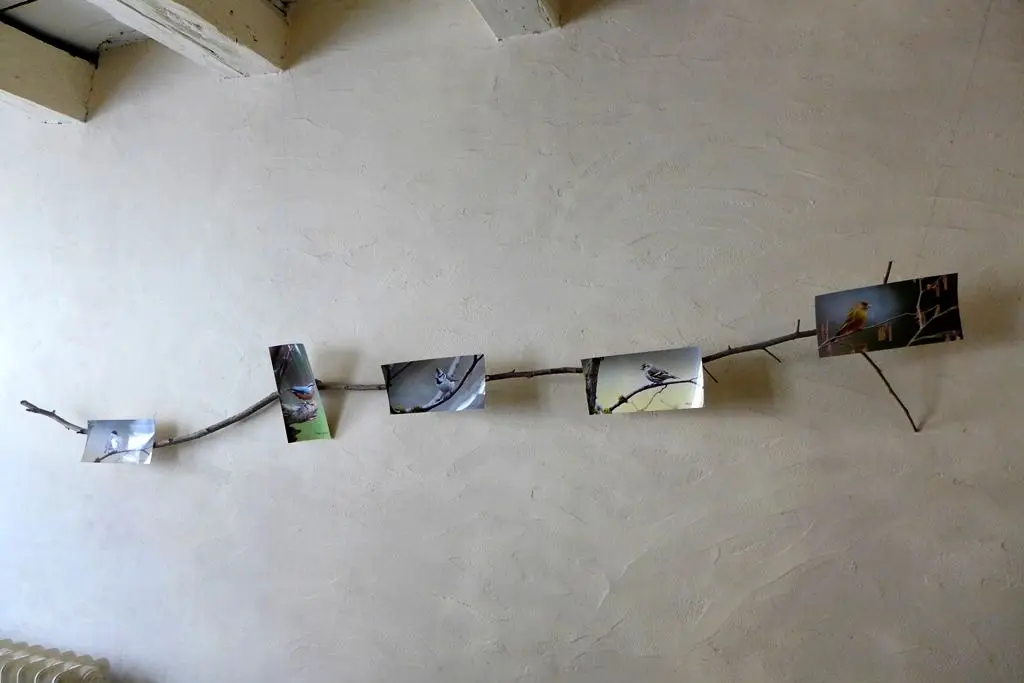 Gîte de France Das Gabrielle Haus 3 Ohren