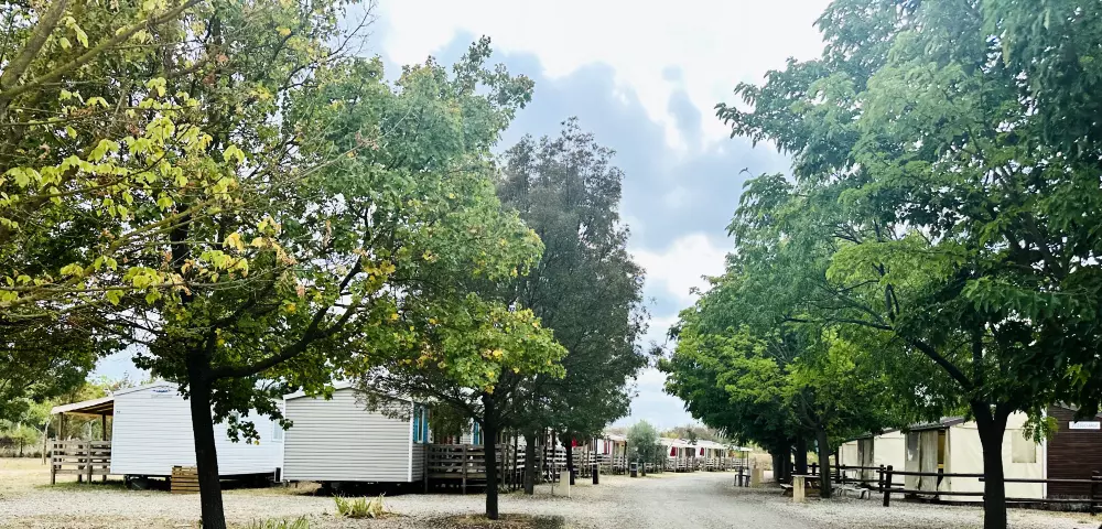 Campingplads Paradis Family les Rives de l'Hérault4 Stjerner★★★★