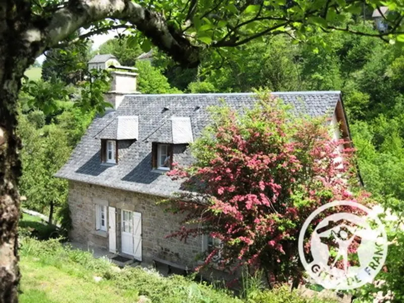 Gîte de France De 3 oren rapiette