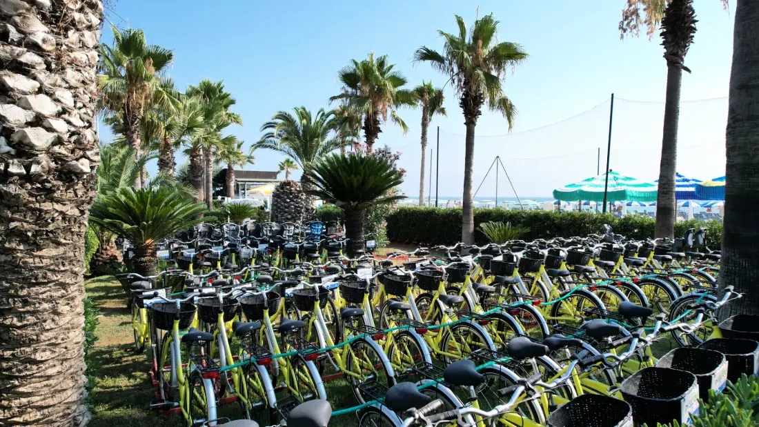 Campsite Village Don Antonio